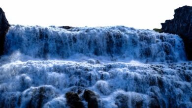 digital expansion impact flow