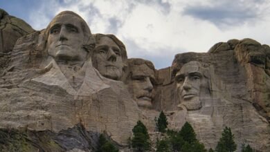 digital signal amplifier device