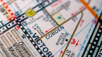 market analysis for engine