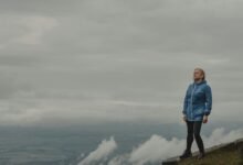 revenue optimization strategy insights