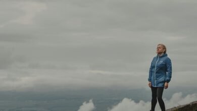 revenue optimization strategy insights