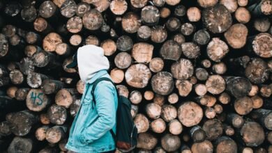 user activity and logs