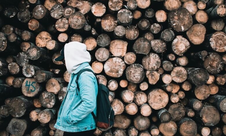 user activity and logs